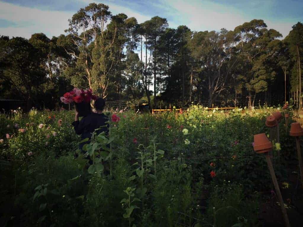 Janae in the garden