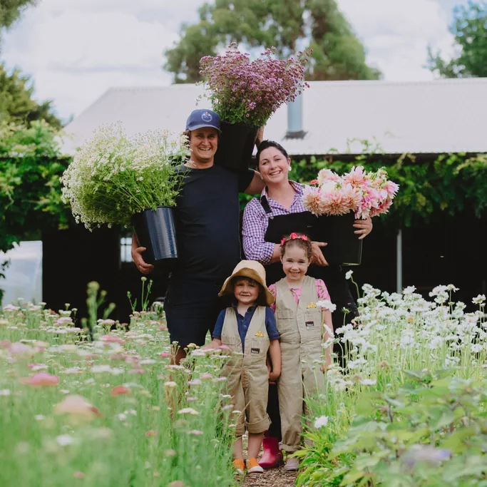 fleurs de lyonville family